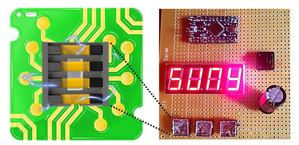 Graphic for dual in-line package biobatteries